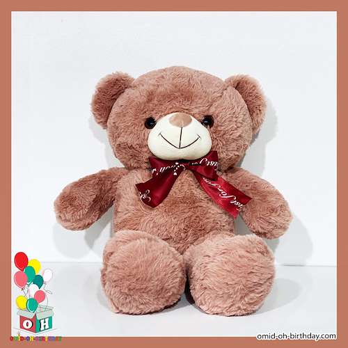 عروسک پولیشی خرس تدی گلبهی سایز ۵۵ کد CA0198