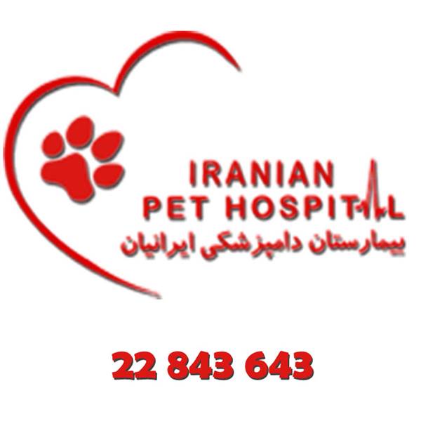 درمان دیستمپر حیوانات ( سگ ، گربه )
