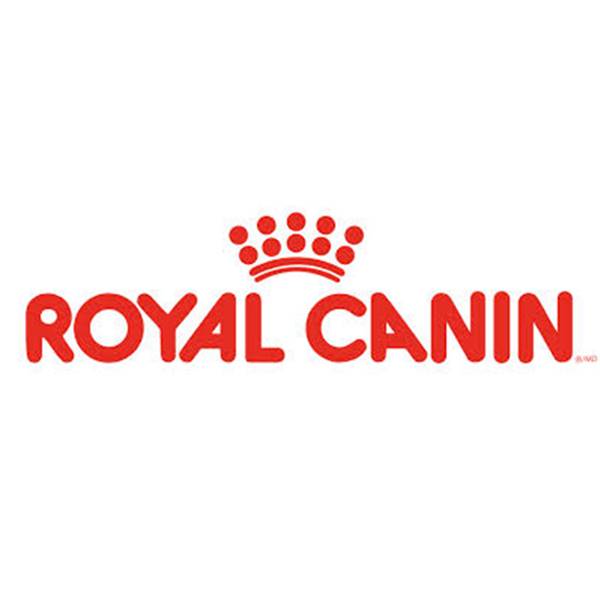 نماینده فروش لوازم جانبی کمپانی Royal Canin